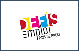 Defis emploi